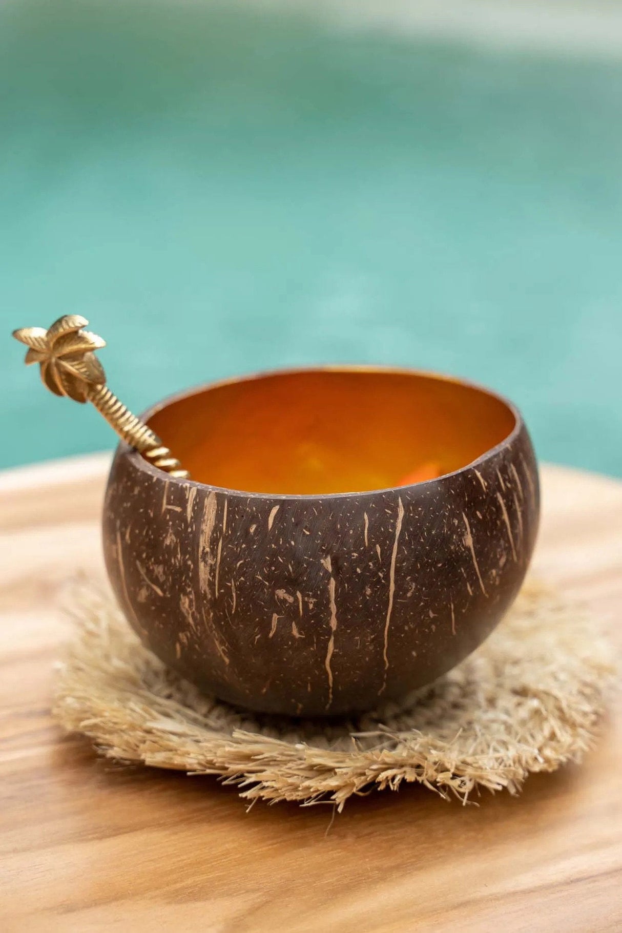 Bol de nourriture COCO