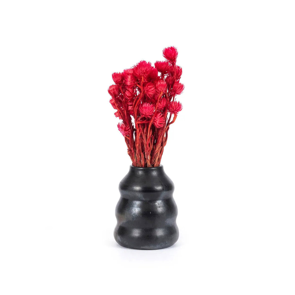 The Burned Vase - Black Terracotta