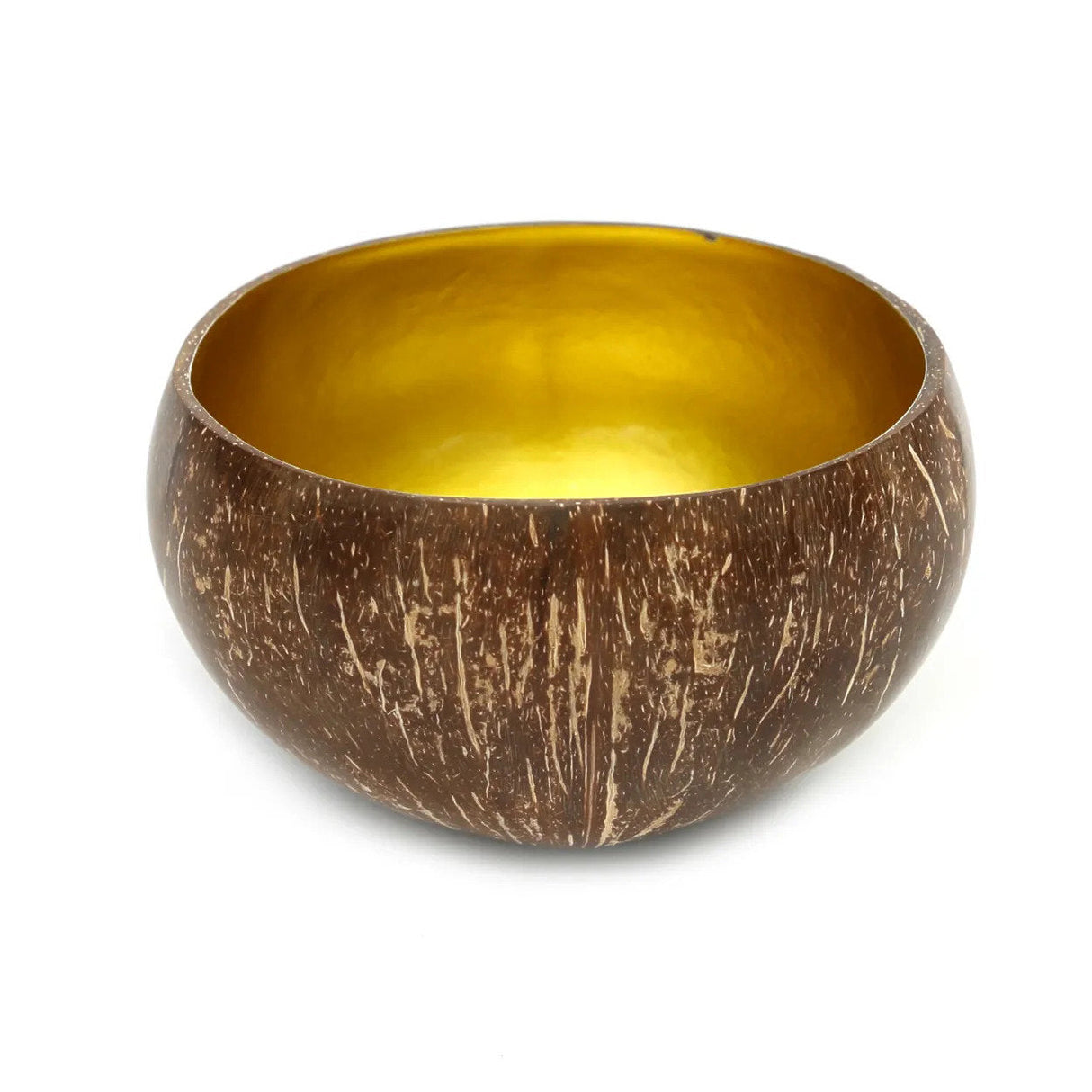 COCO Food Bowl